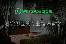 如何在WhatsApp上添加联系人？