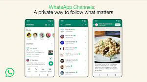 如何在whatsapp中阅读加密消息